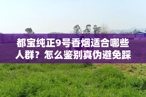 都宝纯正9号香烟适合哪些人群？怎么鉴别真伪避免踩坑？